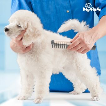 Min Pet Electric Hair Remover Kam for hunder
