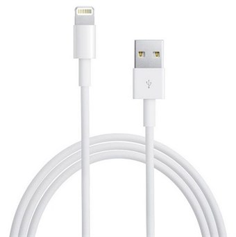 Apple lightning USB-kabel iPad / iPhone - Fra APPLE