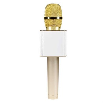 Q9 Profesjonell trådløs mikrofon med høyttaler - Gull