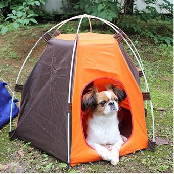 Bærbart sammenleggbart telt for kjæledyr - Hund - Katt - Ute/innendørs