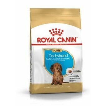 Fôr Royal Canin  Breed Dachshund Jun Barn/Junior Grønnsak 1,5 Kg