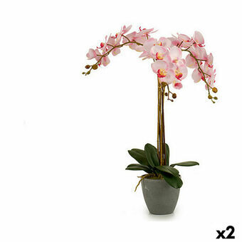 Dekorativ Plante Orkidé Plast 29 x 78 x 35 cm (2 enheter)