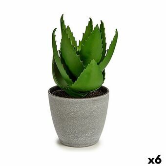 Dekorativ Plante Aloe Vera 15 x 23,5 x 15 cm Grå Grønn Plast (6 enheter)