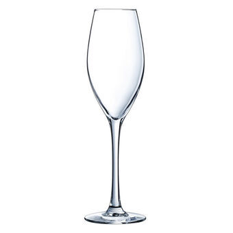 Champagneglass Éclat Emotions Gjennomsiktig Glass (24 cl)