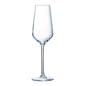 Champagneglass Éclat Ultime Gjennomsiktig Glass (21 cl)