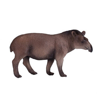 Mojo dyreliv brasiliansk tapir - 381023