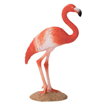Mojo dyreliv amerikansk flamingo - 387134