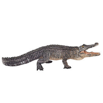 Mojo Alligator med bevegelig kjeve - 387168