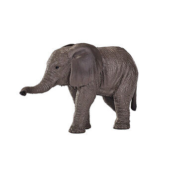Mojo dyreliv Afrikansk elefantkalv - 387190