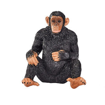 Mojo dyreliv sjimpanse - 387265