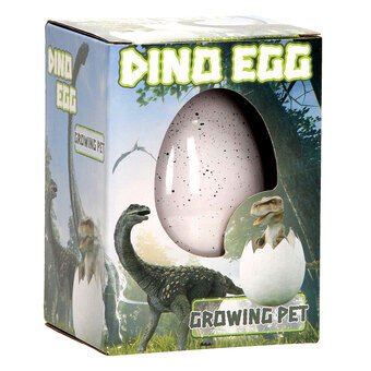 Dyrking av egg - Dino xl