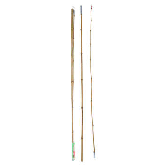 Rodde bambo, 2 meter.